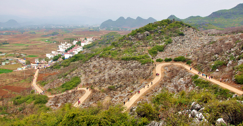 黄竹岗村